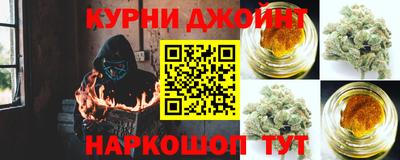 сатива Моздок