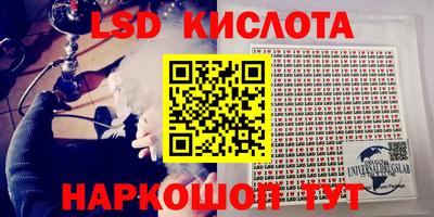 сатива Моздок