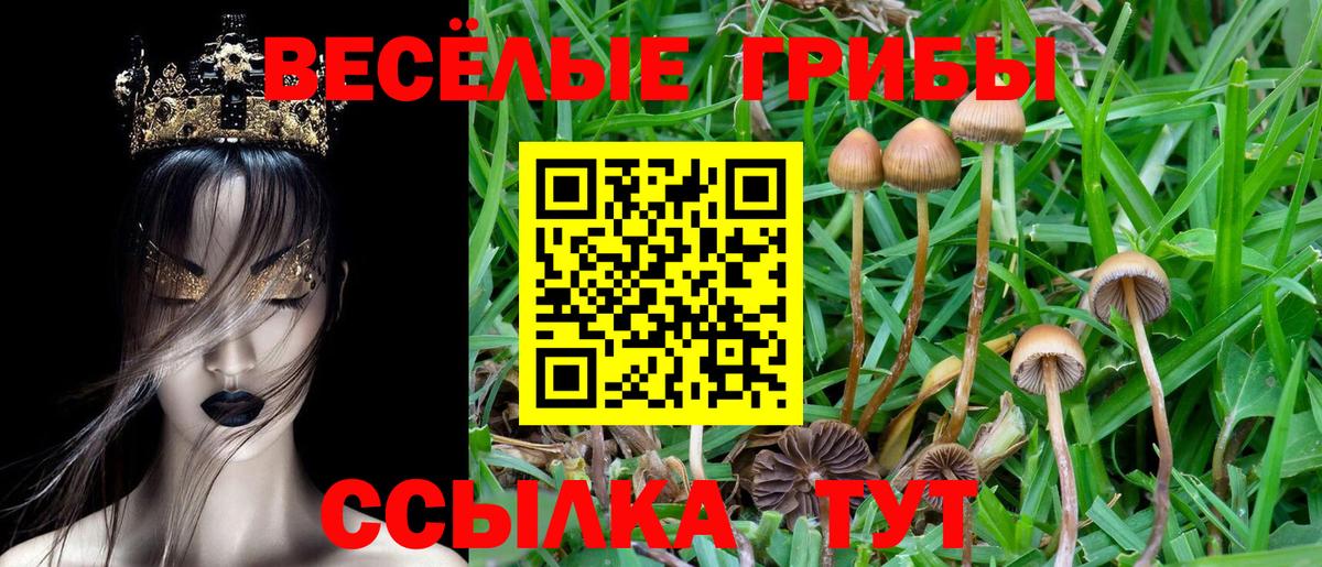 Галлюциногенные грибы Magic Shrooms Тула
