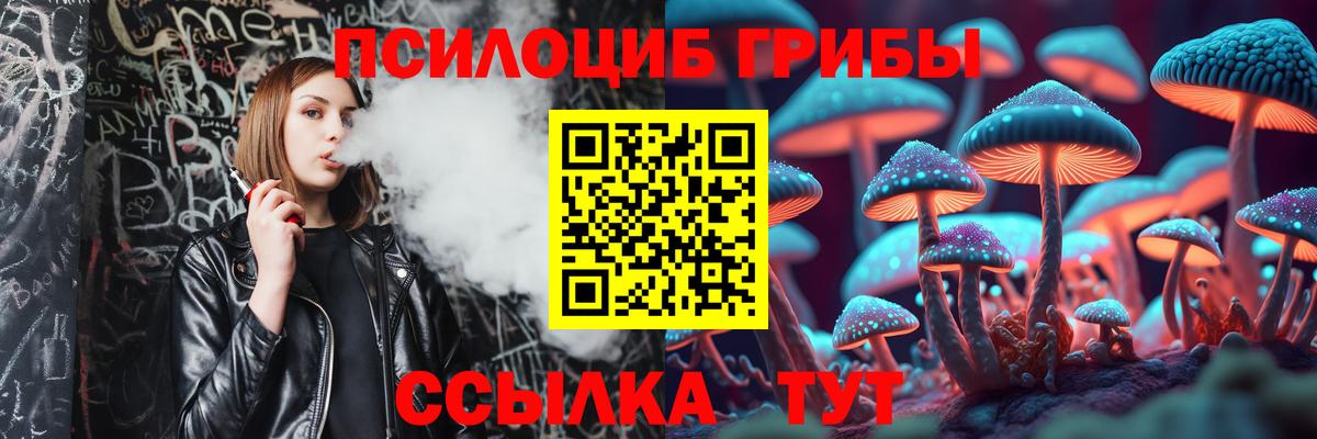 Тула  Галлюциногенные грибы Psilocybine cubensis  Вход с VPN 
